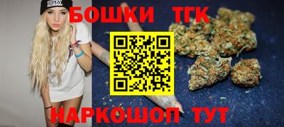 мдпв Заводоуковск