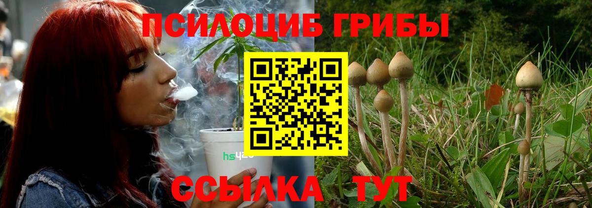 Полевской  Псилоцибиновые грибы ЛСД  Псилоцибиновые грибы Cubensis  Вход с VPN 
